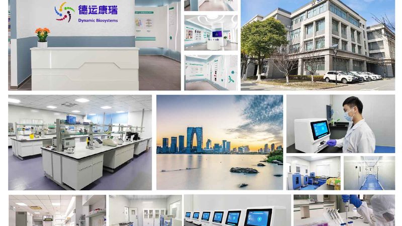 D细胞培养：关键步骤与注意事项解析**