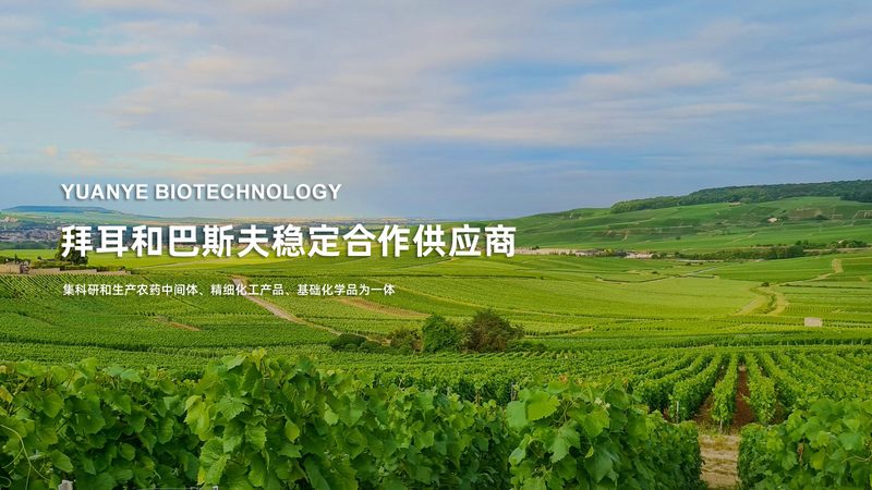 进口与国产移液器：优劣势解析与选型策略