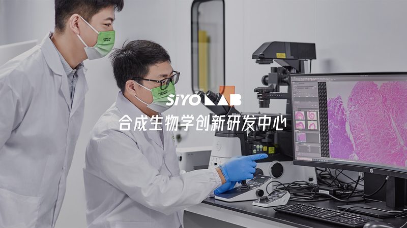 上海生物医药外包服务资质要求：合规之路的必备要素