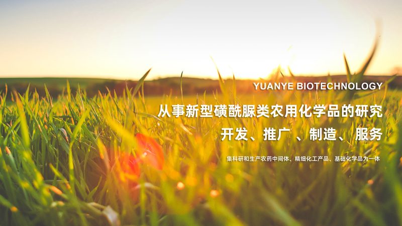 上海生物试剂，如何选择可靠的生产厂家？**
