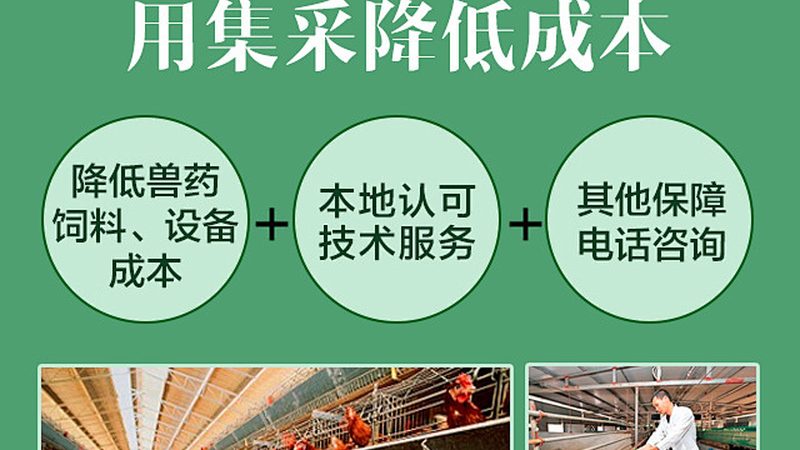 生物科技公司采购合同规范：合规与风险的平衡之道**