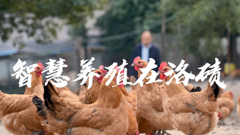 制药车间净化工程：揭秘其重要性及选型要点