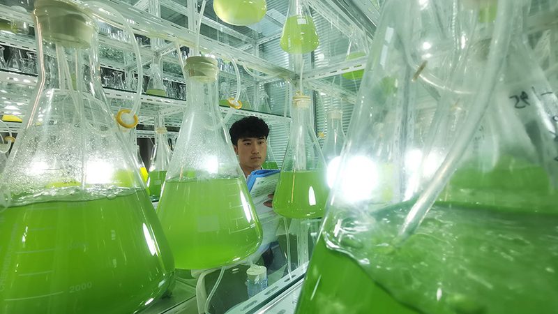 细胞培养基保存不当，实验数据可能全白费
